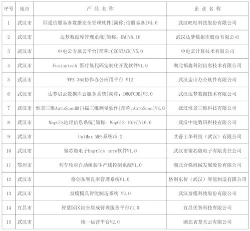 2024年湖北省首版次軟件產品暨關鍵軟件獨立研發企業清單正式公示
